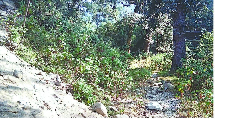 Tanakpur-Ascot pedestrian trail survives in danger