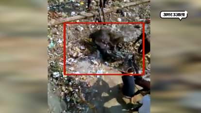 This drain of Badarpura becomes a fatal arvind kejriwal delhi 
