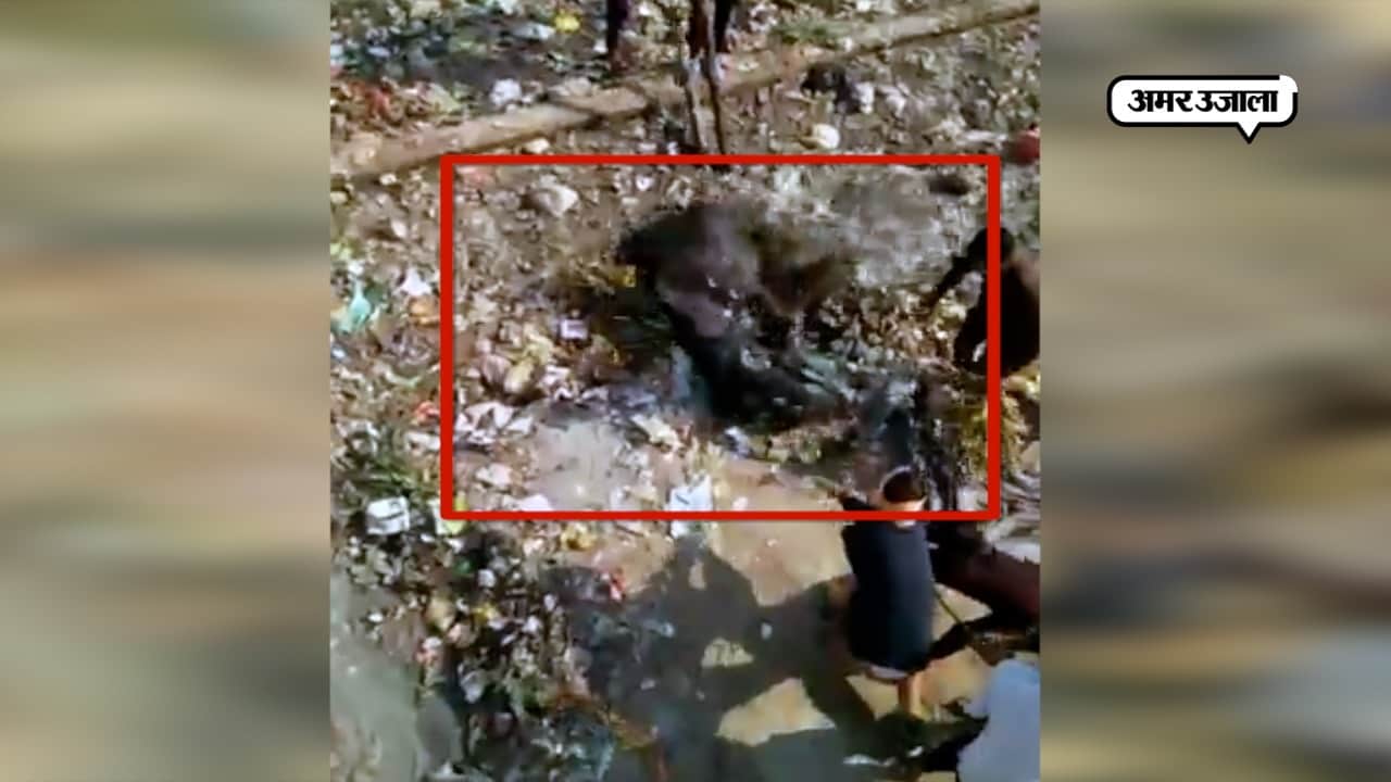 दिल्ली न्यूज़ 