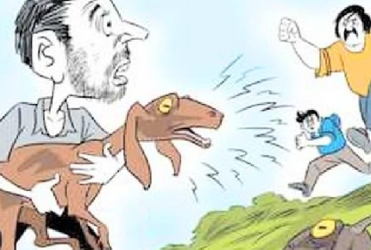 26 Cattle stolen in arki at solan himachal