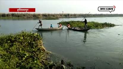 SMUGGLING OF AQUATIC MAMMALS IN HASTINAFUR OF MUZZAFARNAGAR