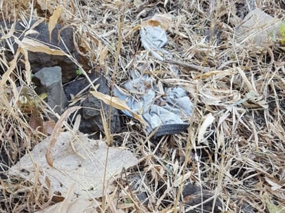 Youth head crushed with stone and thrown into a deep gorge found alive after 5 days in Indore