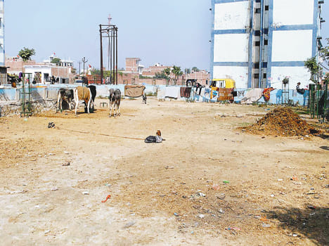 Amrit plan will be the rejuvenation of three parks
