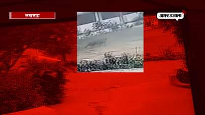 Leopard enters the capital's school, then it happened