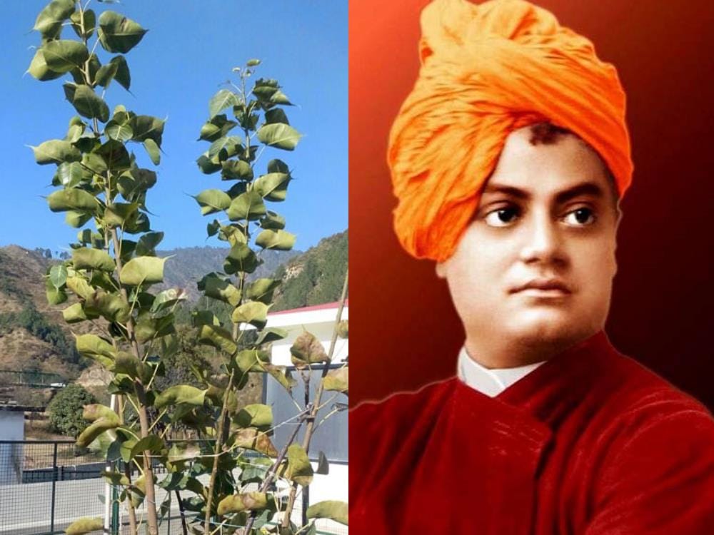 Swami Vivekananda get universe knowledge through this