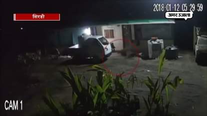 TIGER HUNTS DOG IN THE RESIDENTIAL AREA OF SHIRDI WATCH CCTV