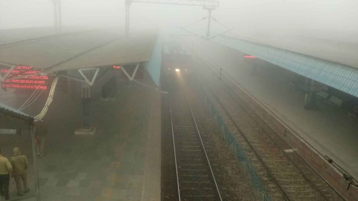 घने कोहरे व शीतलहरी से कांप उठे लोग