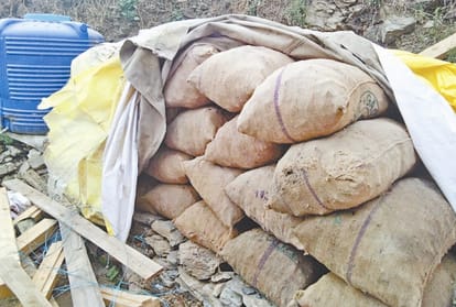 illegal tree felling in shimla forest minister appreciate officers