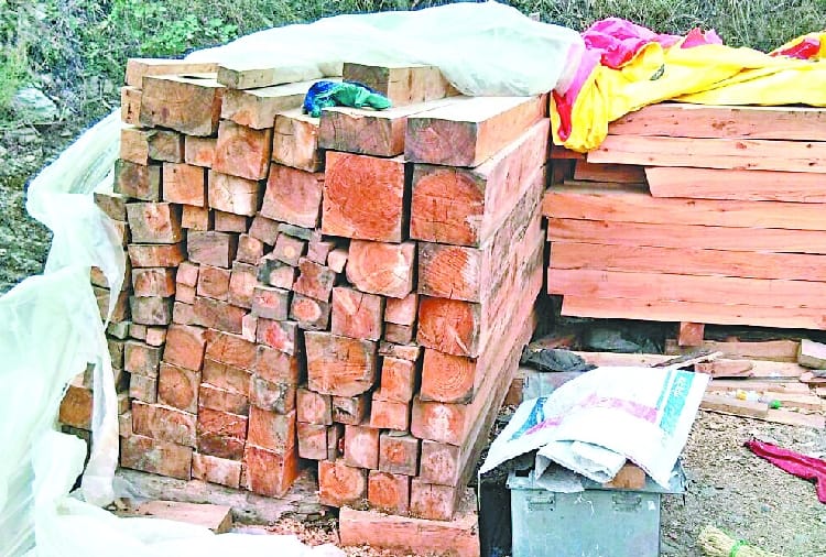 मैहला में वन विभाग की दबिश, नौ देवदार के स्लीपर पकड़े