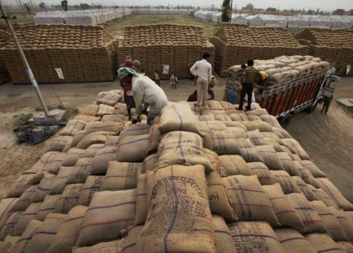 13.36 lakh KG pulses Damage in Haryana's godowns