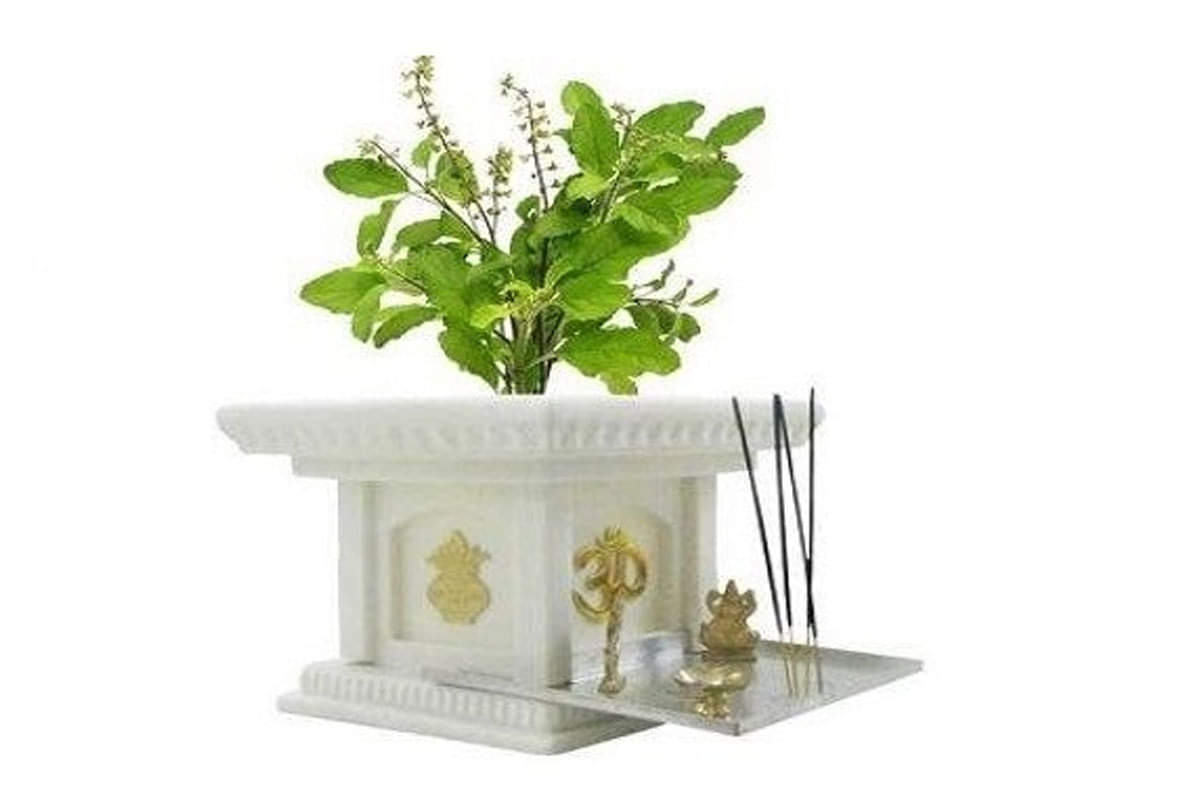 vastu tips for good health and wealth