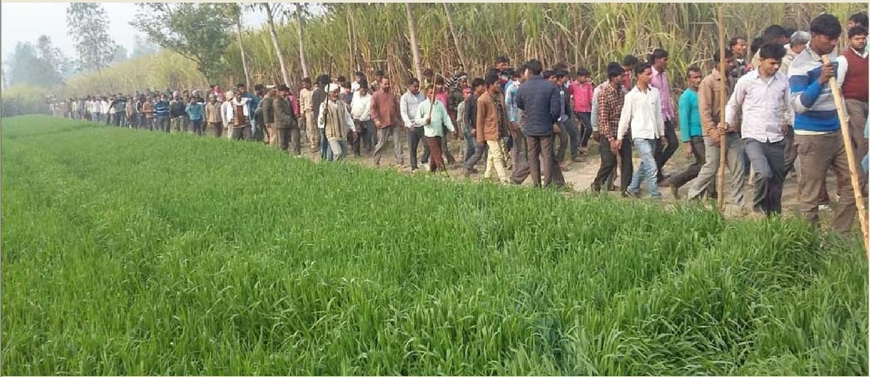 सवा साल में बाघ का निवाला बन चुके हैं 21 ग्रामीण