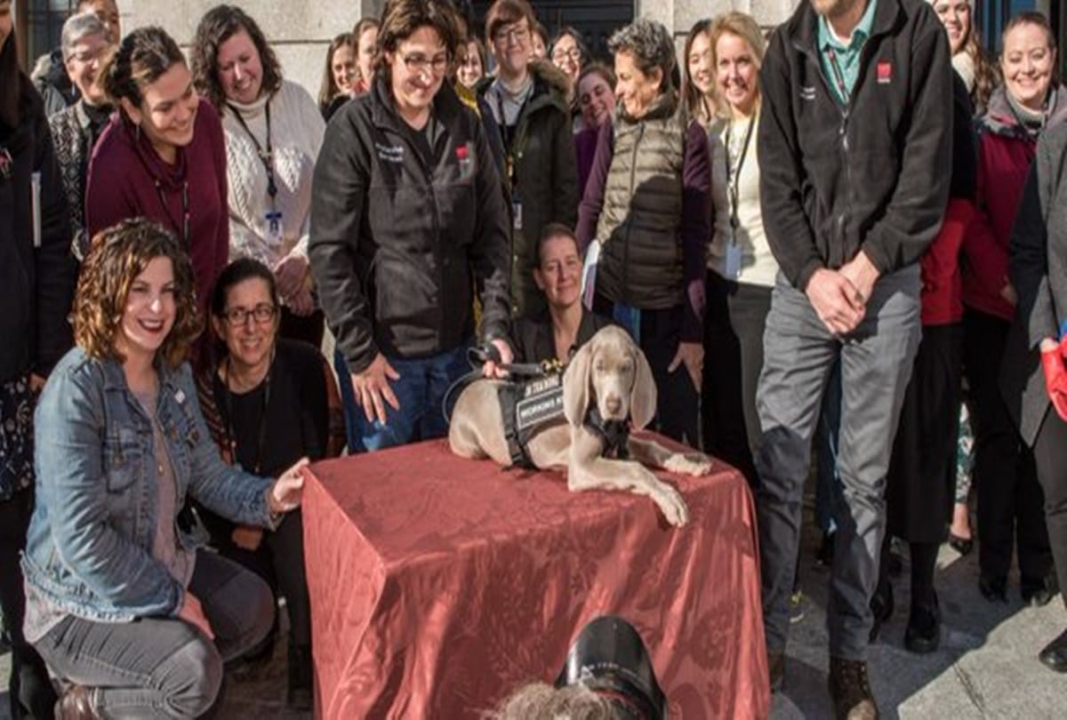 worlds most special dog appoint for this work