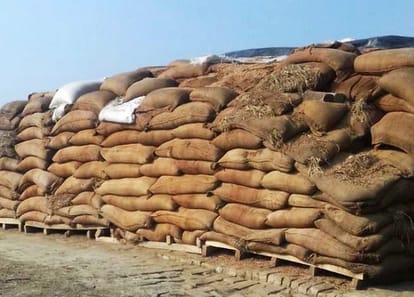 13.36 lakh KG pulses Damage in Haryana's godowns