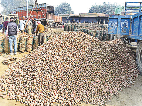 new market would be built in santanpur potato market