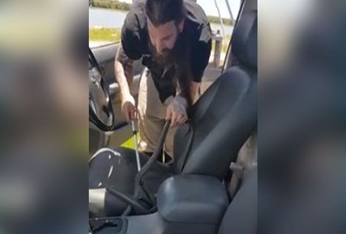 when while driving poisonous snake comes and sitting on hand of this men