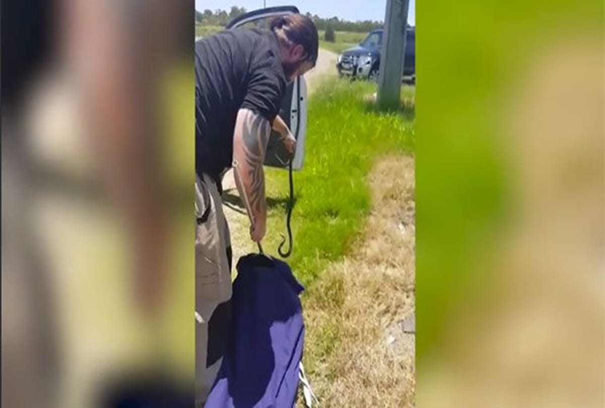 when while driving poisonous snake comes and sitting on hand of this men