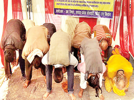 Executioners not allowed Makar Sankranti