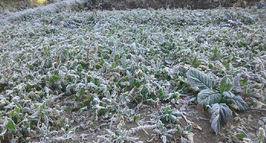 Farmers' hard work