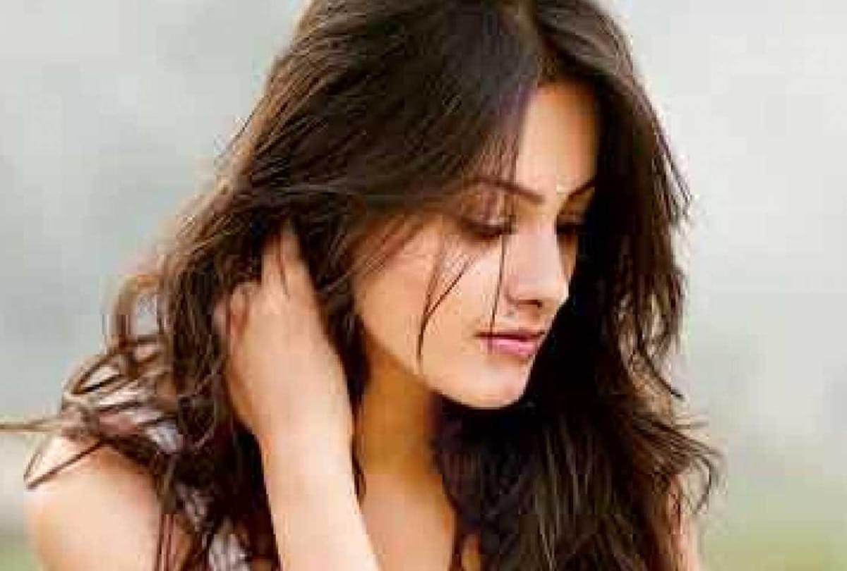 Anita Hassanandani celebrates birthday with father in law