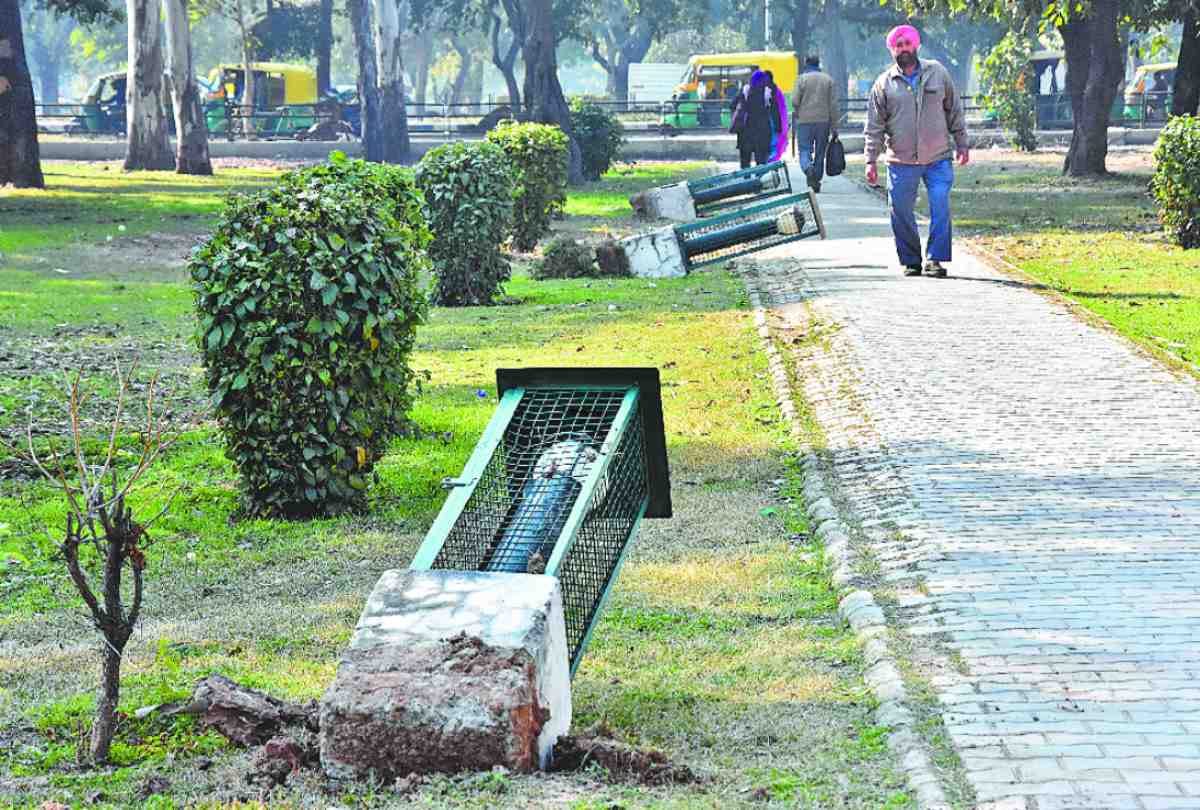 Nagar Nigam Chandigarh Efforts for Top Position in Swachh Survey Ranking