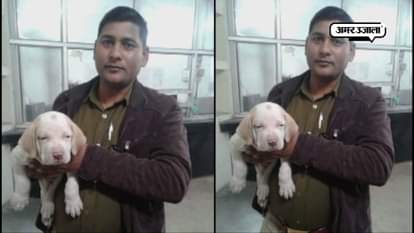 DOG FINED SIX TIMES FOR TRAVELLING WITHOUT TICKET AT AGRA CANTONMENT RAILWAY STATION