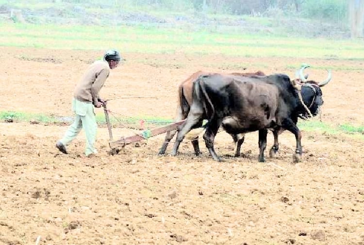 Political heat up in punjab over HM report over Bonded Labor case