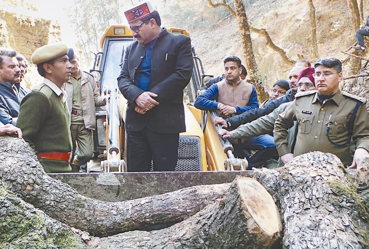 illegal tree felling in shimla forest minister appreciate officers