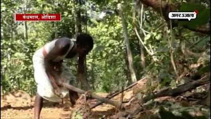 ODISHA’S MOUNTAIN MAN JALANDHAR NAYAK CARVED 8 KM LONG ROAD FOR HIS CHILDREN TO ATTEND SCHOOL