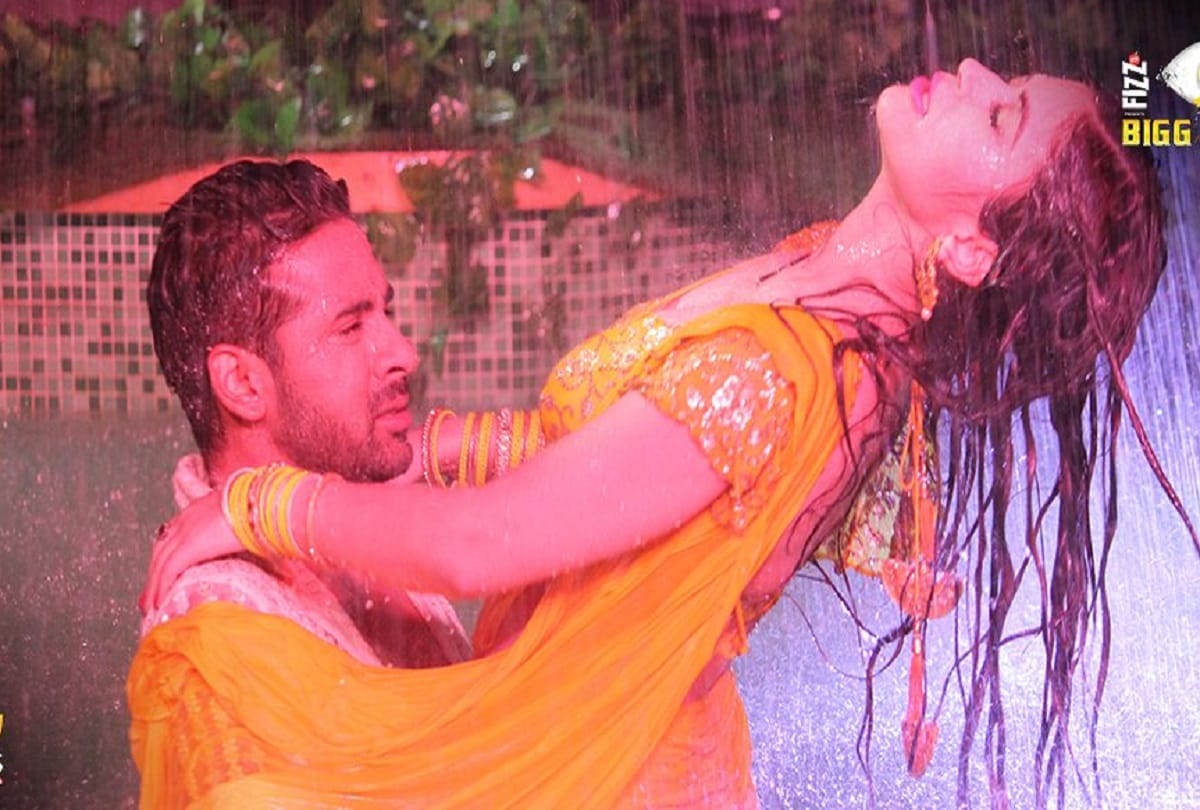bigg boss 11 finale puneesh sharma and bandgi kalra performed