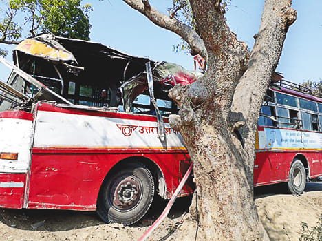 Roadways bus collides with tree, injures two dozen passengers