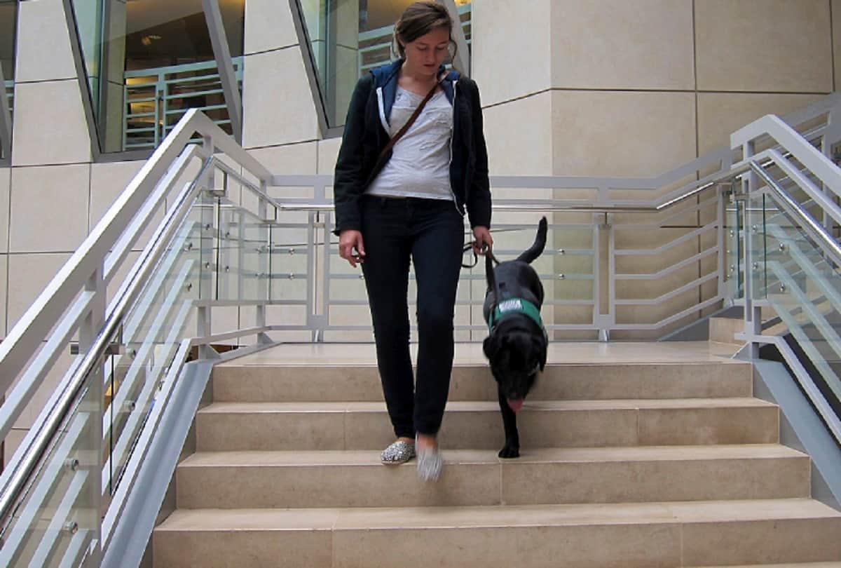 For Instant Energy Start Climbing Stairs Health Benefits Instead Of Tea or Coffee Health research