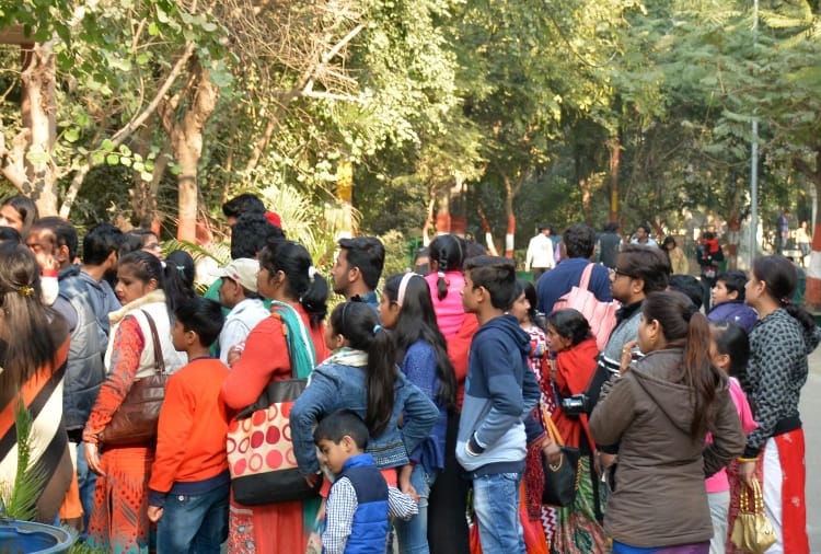 ten thousand people visit lucknow zoo on sunday