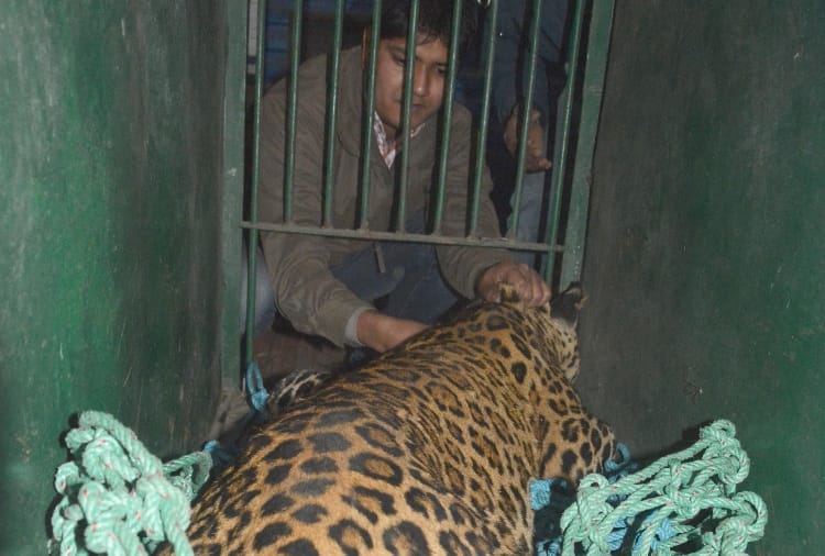 ten thousand people visit lucknow zoo on sunday