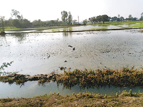 Water-filled fields
