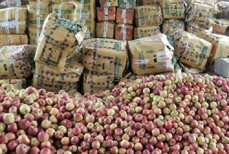 Himachal's apple gardening affected by Pulwama terrorist attack incident