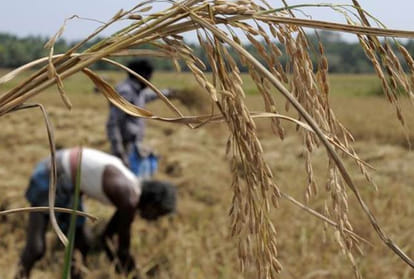 Union Budget 2018 what is the relevance of agriculture budget in Budget 2018