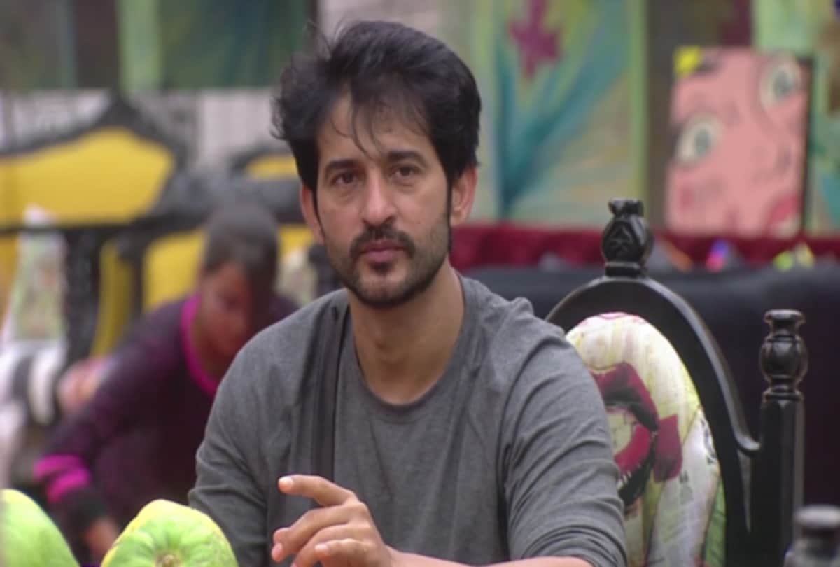 After Bigg Boss 11 Hiten Tejwani and Arshi Khan will do Ekta Kapoor show 