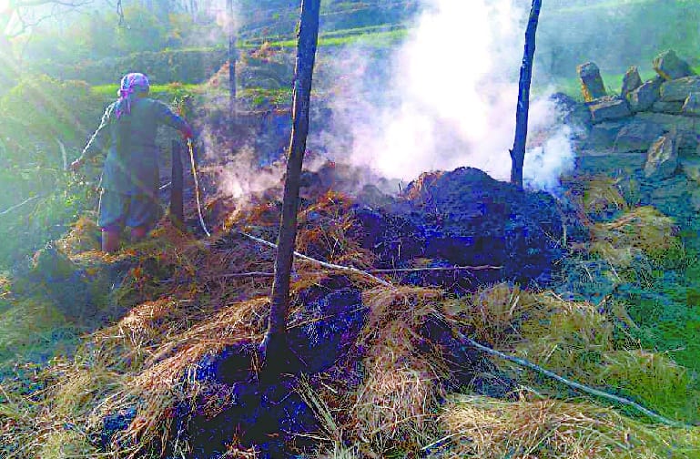 Jungle fire reached toomic village