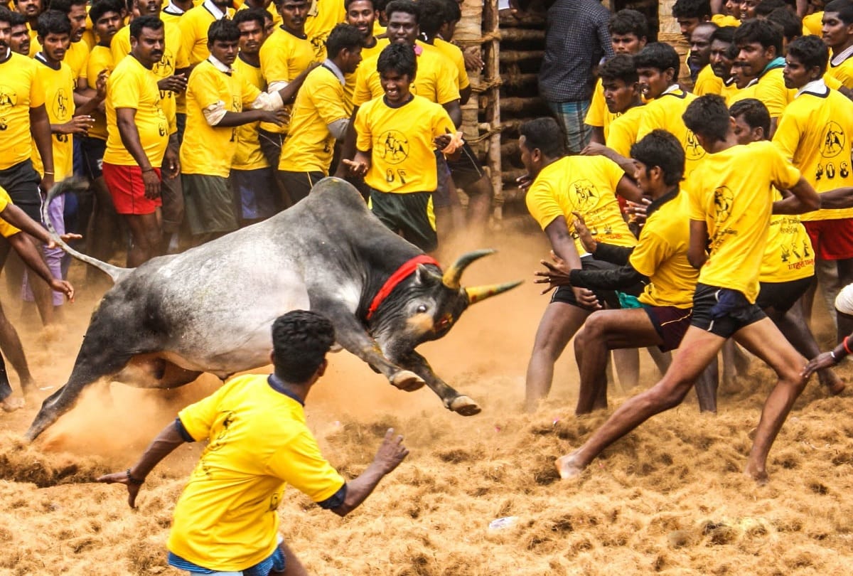 Three people died during the Jallikattu game in Tamil Nadu