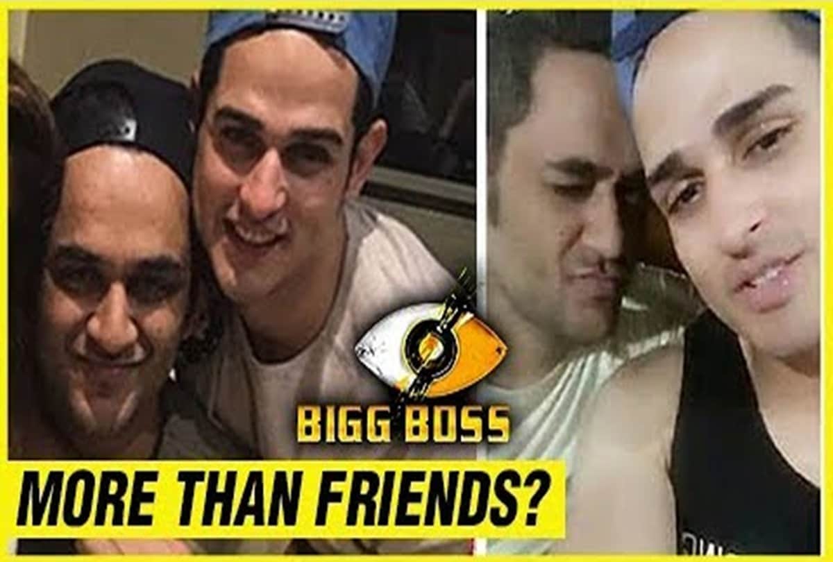 Bigg Boss 11: Vikas will do web series with Priyank Sharma