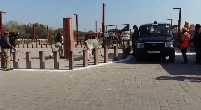 Bull Fight at taj mahal by up police during Israel PM visit
