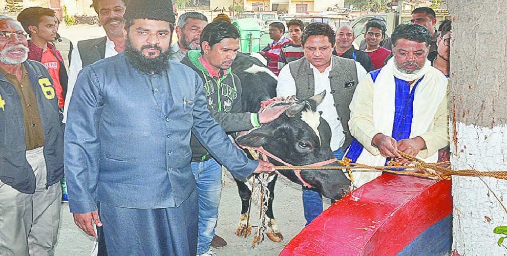 Muslim councilor donates to his cow, said, these charges seem to be