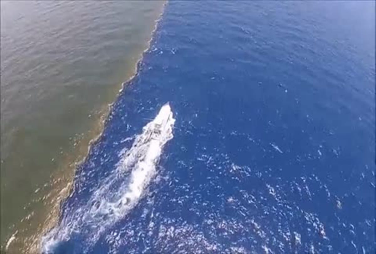 Gulf of alaska a place where two oceans meet