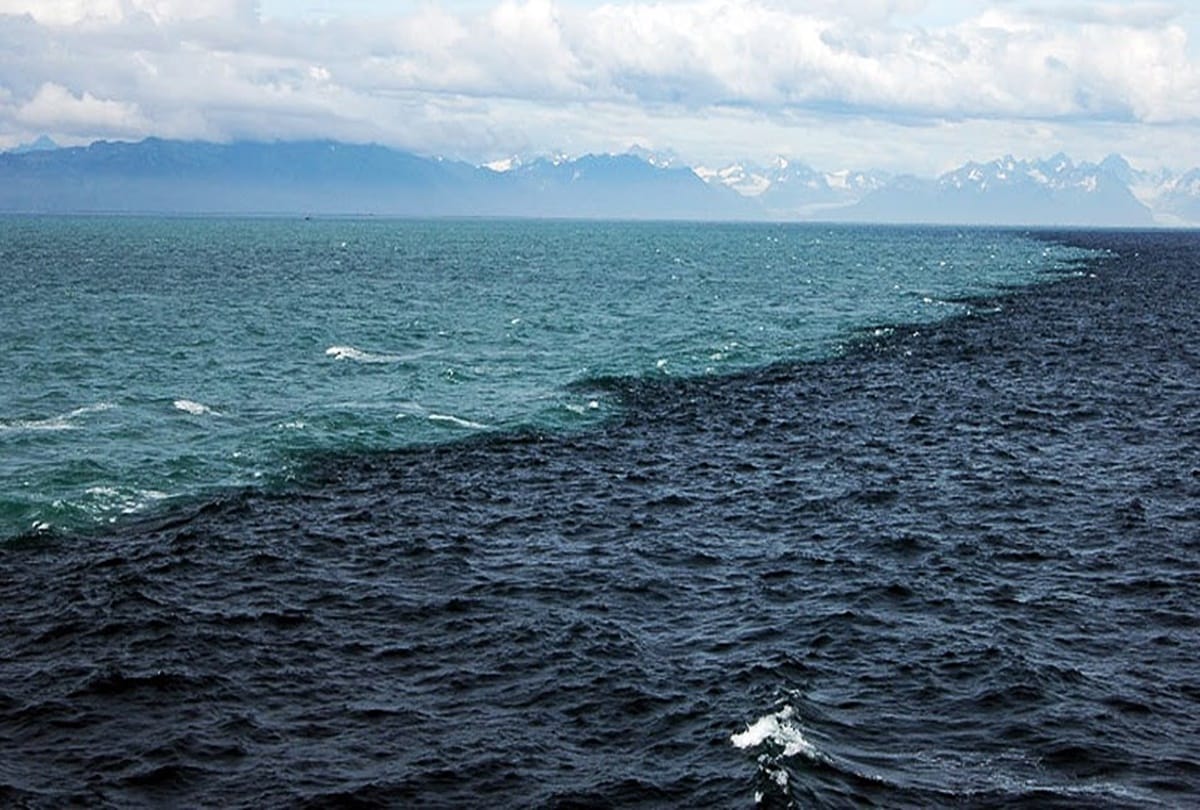 Gulf of alaska a place where two oceans meet