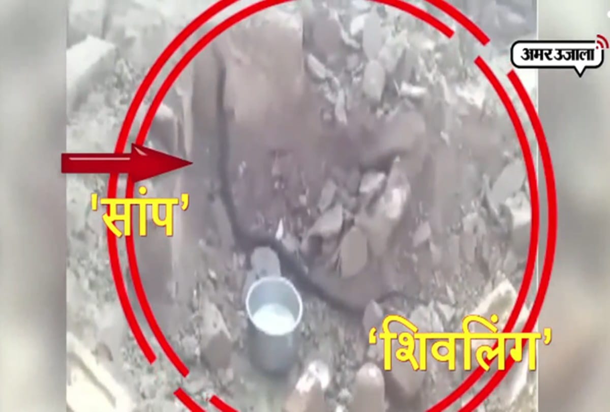 Hundred of snake came out during tample restoration in hathras