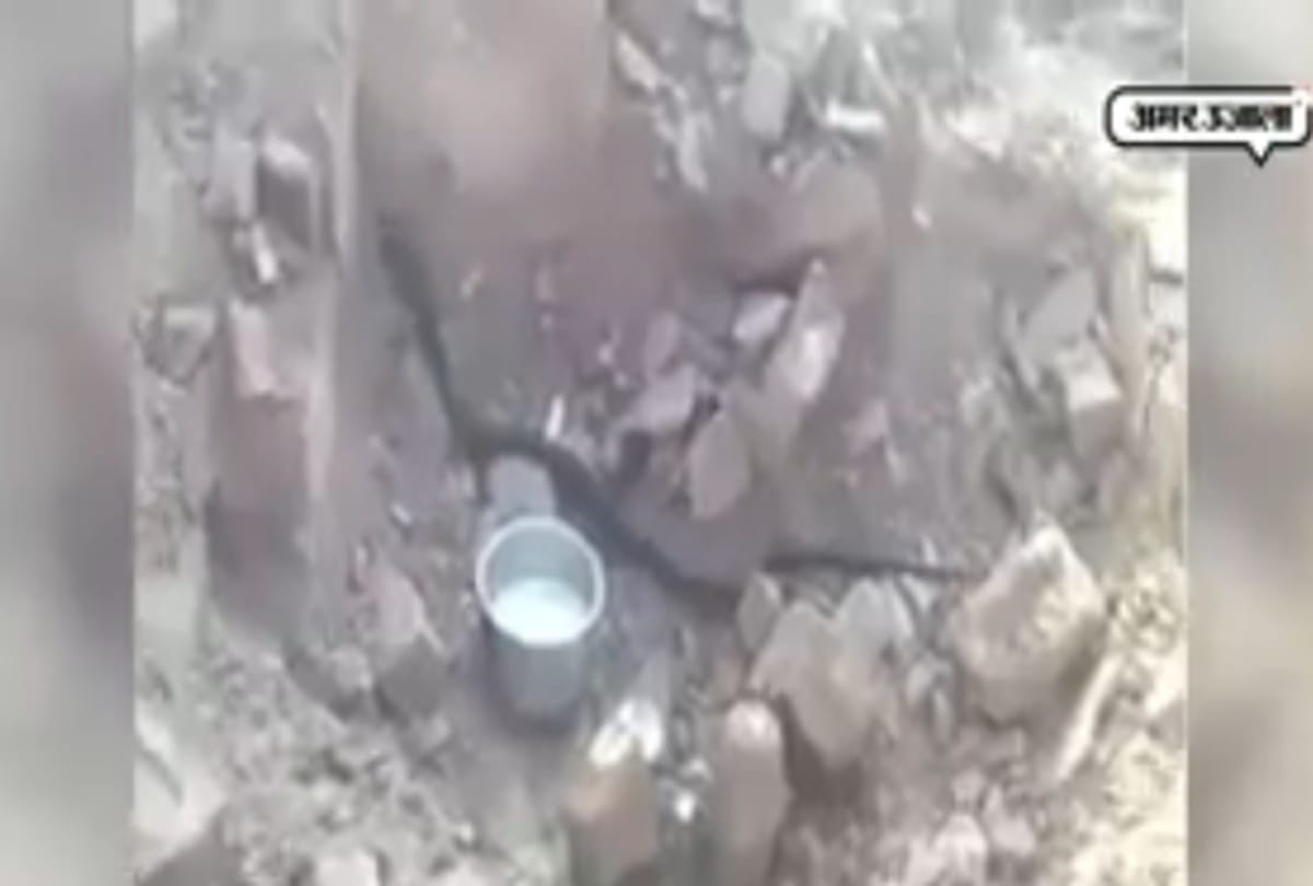 Hundred of snake came out during tample restoration in hathras
