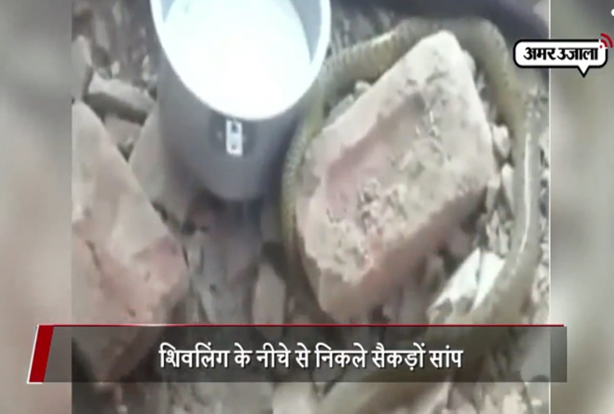 Hundred of snake came out during tample restoration in hathras