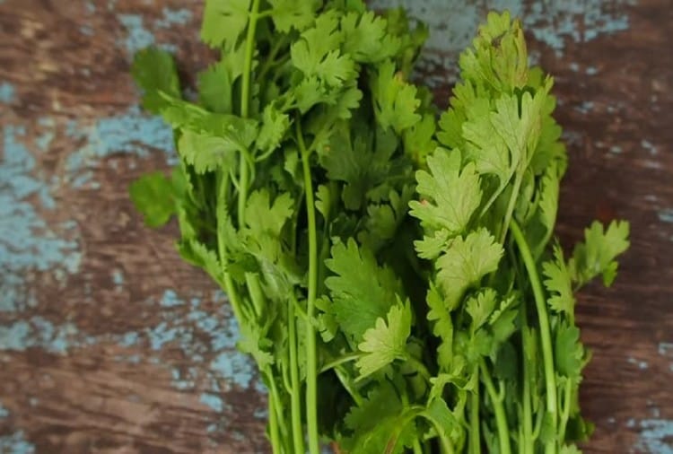 चेहरे पर नहीं होंगे ब्लैकहेड्स और झुर्रियां, बस ऐसे करें धनिया पत्ते का