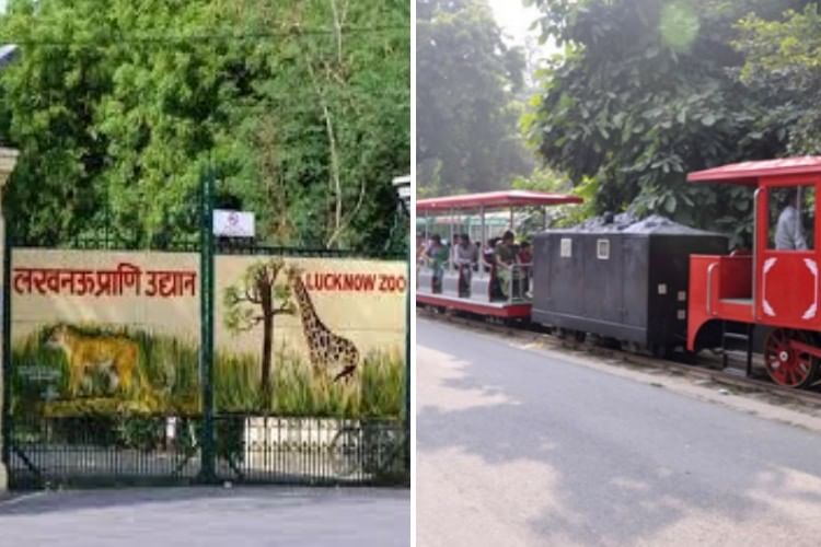 अगर आप भी जू की सैर करने जाने वाले हैं तो जरूर पढ़ें ये खबर Ticket